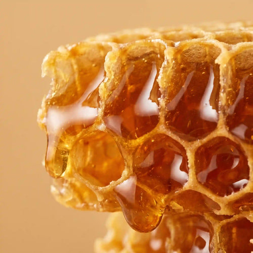 Cera de Abeja