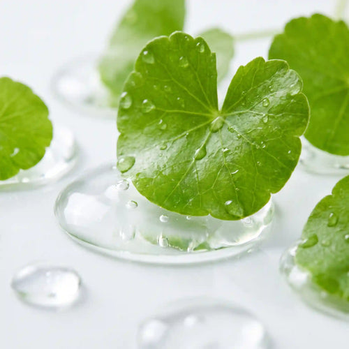 Centella Asiática