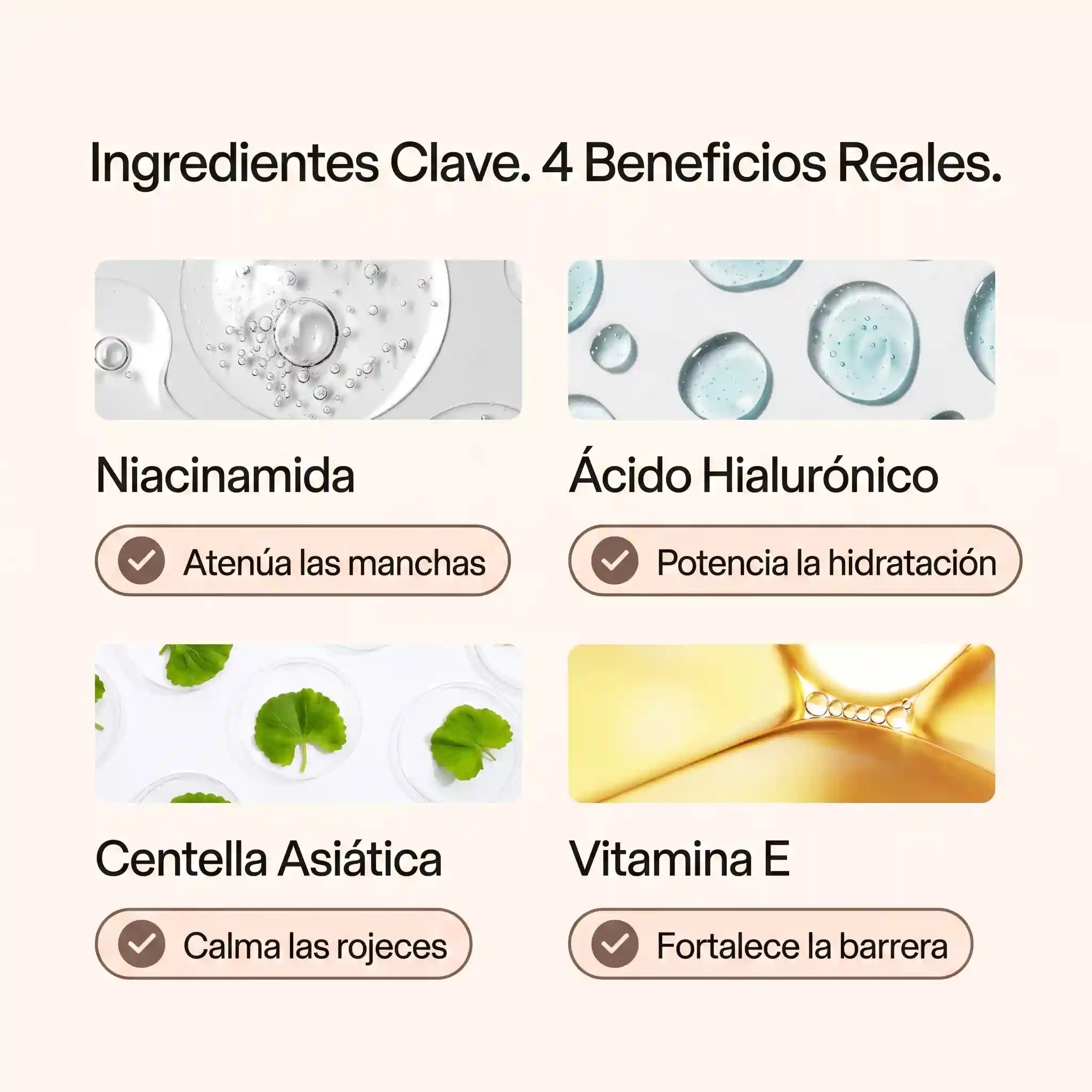 Baurelia™ Skin Tint con Serum